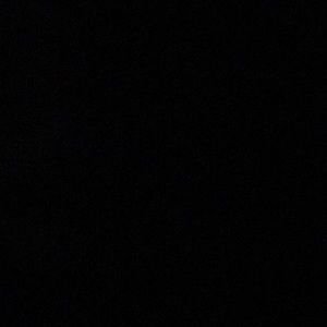 Meet your Posher, Cody